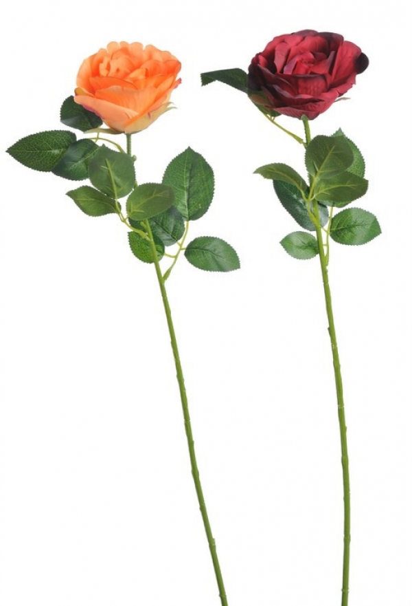Ruža COLUMBIA, 2 farebné typy, umelá