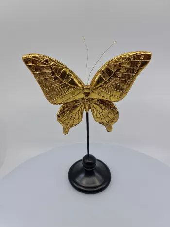 Dekorácia, motýľ, čierno - zlatá, 19x11x32 cm