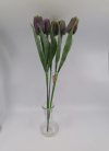 Sada 6 tulipánov 46cm