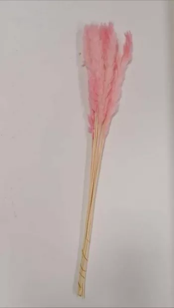 Pierko, ružové, 10 ks v balení, 70 cm