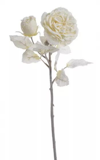 Zasnežená ruža, biela, 48 cm