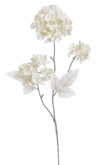 Zasnežená hortenzia, biela, 85 cm