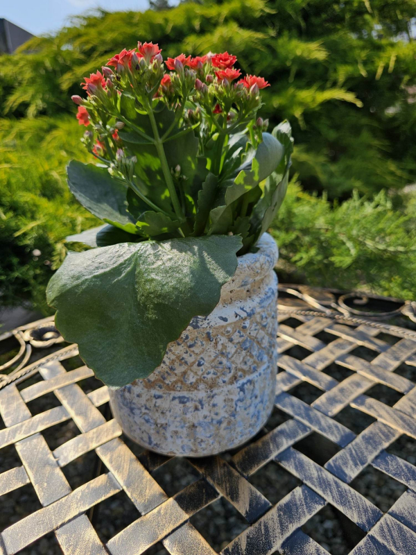 Modrý betónový obal na črepníkové kvety s glazovanými ornamentami 14x14cm