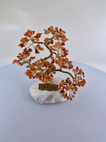 Stromček šťastia karneol, 16x11x9 cm