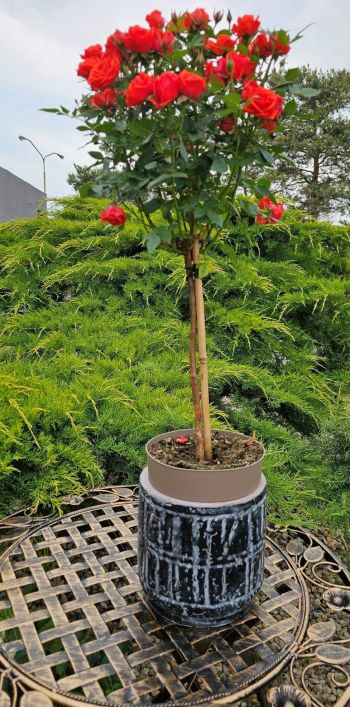 Čierny terakotový kvetináč 20,5x20cm