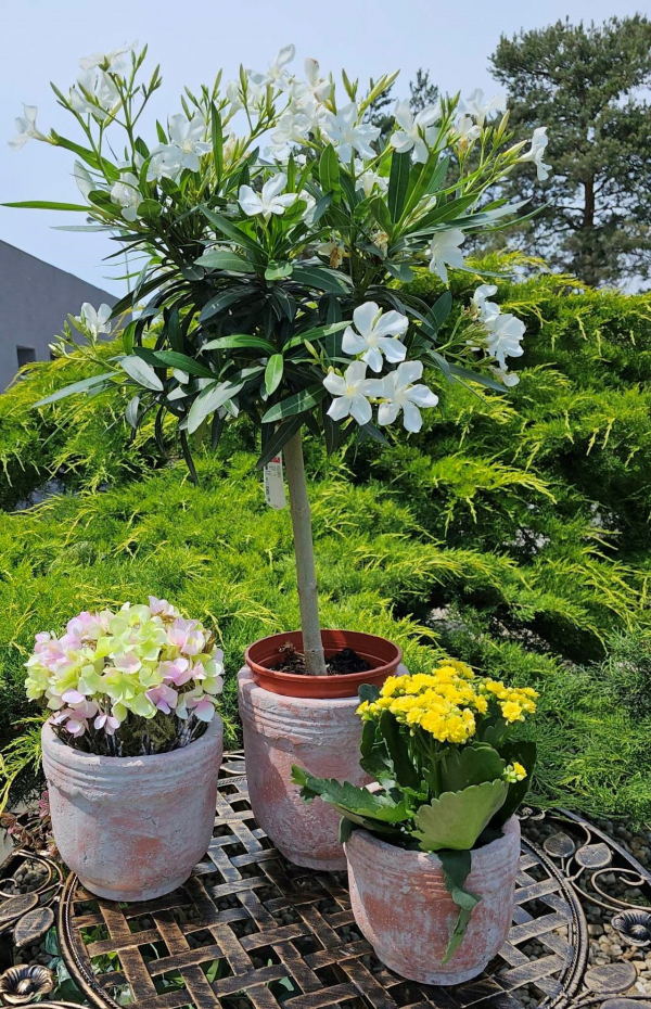 Tehlový obal na kvety 19x16,5cm
