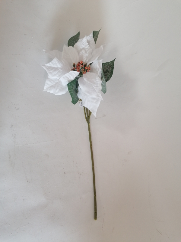 Biela vianočná ruža 50cm