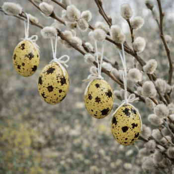 Veľkonočné vajíčka, tmavé- žlté, 6 ks