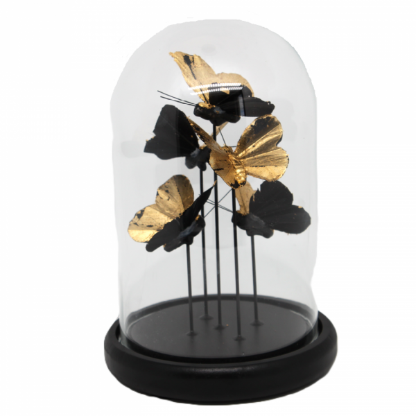 Zlaté motýle v skle, 20x14 cm