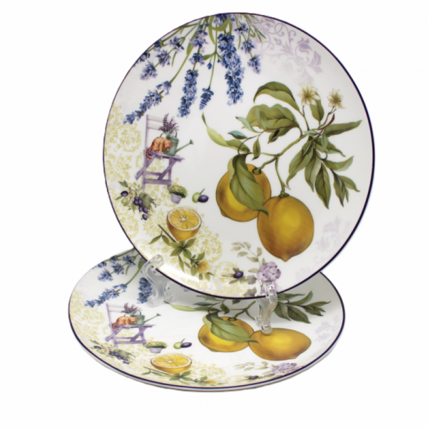 Porcelánové taniere, dekorované, svetlé, 2 ks v balení