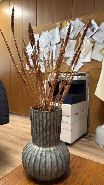 Dekorácia, sušina, medená