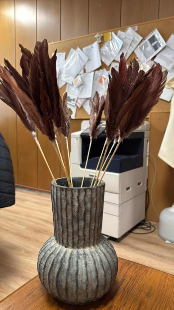 Dekorácia, pierka, hnedo - medená