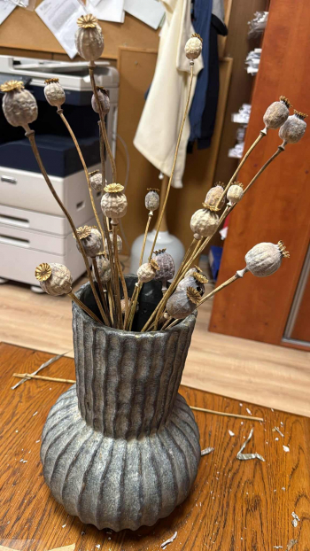 Dekorácia, makovice, prírodná