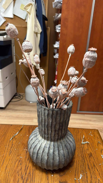 Dekorácia, makovice, ružová