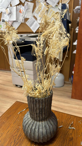 Dekoračná tráva, zlatá