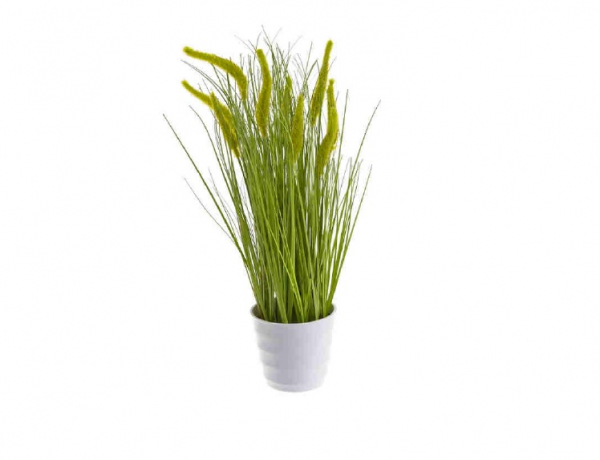 Dekoračná tráva v črepníku, zelená, 46 cm