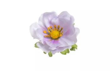 Umelý kvet hlava Anemon bielo-fialová, 12 ks, 7 cm