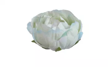 Umelý kvet hlava Pivónie bielo-modrá, 12 ks, 8 cm