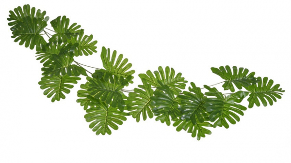 Dekoračný list, MONSTERA, zelený, 119 cm